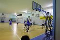 Basket 242091